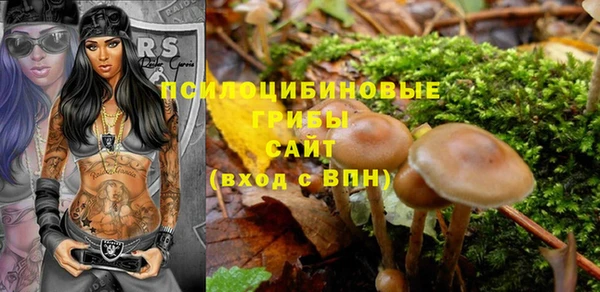 спиды Вязьма