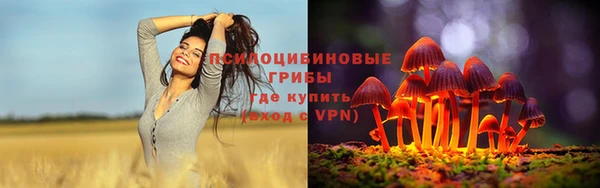 спиды Вязьма