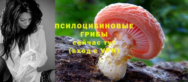 спиды Вязьма