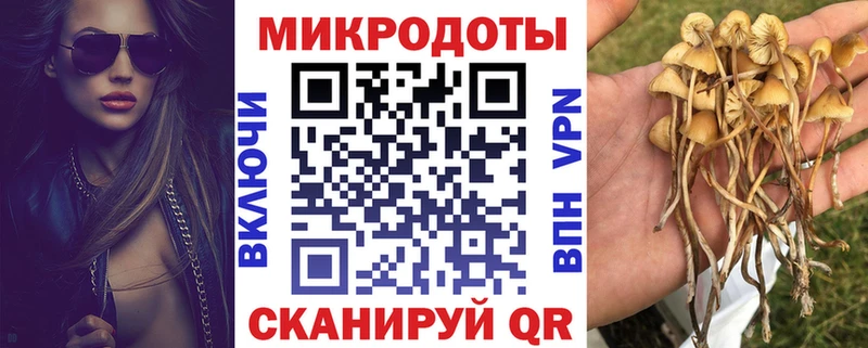 Купить где  Мирный  Галлюциногенные грибы MAGIC MUSHROOMS 